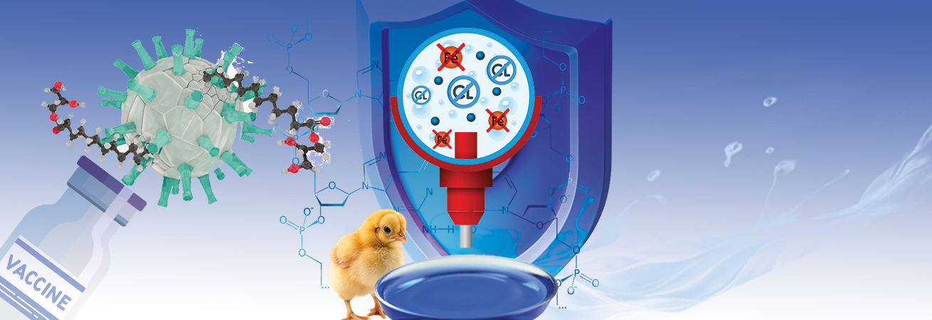 محافظت در برابر اکسیده ها