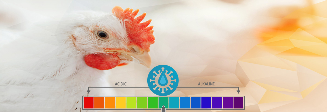 تنظیم کننده pH